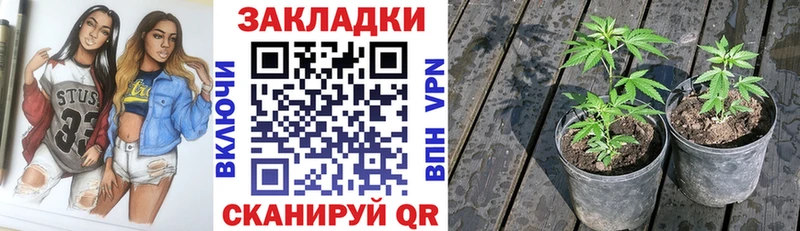 Купить закладку Канабис  КОКАИН  Гашиш  A PVP  Меф мяу мяу  Ардатов