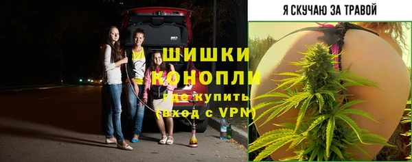 не бодяженный Богданович