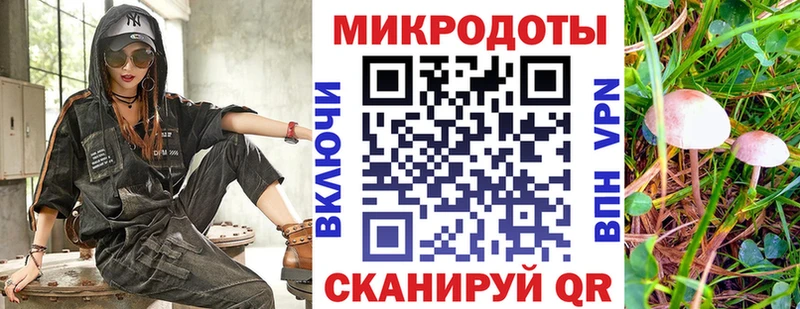Купить закладки Ардатов Галлюциногенные грибы мицелий